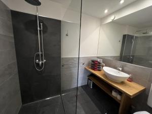 a bathroom with a glass shower and a sink at Schlossalm Appartement in Bad Hofgastein +69 photos