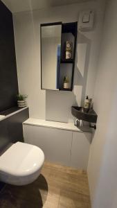 OffingawierにあるCastalia Houseboat met uitzicht over het Sneekermeerの白いトイレと洗面台のあるバスルーム