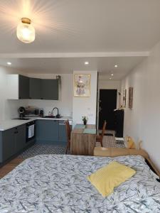 a kitchen and a living room with a large bed at Le studio Amos in Metz