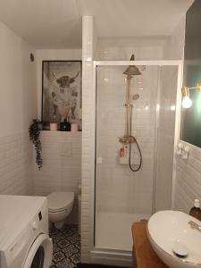 a bathroom with a shower and a toilet and a sink at Le studio Amos in Metz
