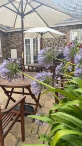 eine Gruppe von Picknicktischen mit lila Blumen und einem Sonnenschirm in der Unterkunft Stable Cottages 1&2 beside Canal & Surfing Beaches in Bude + 79 Fotos