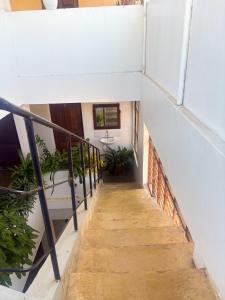 a stairway in a building with plants at Flamingo Guest House in Zanzibar City