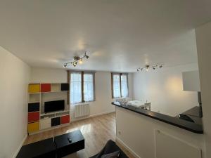 ein großer Raum mit Küche und Wohnzimmer in der Unterkunft Charming 2 bedroom 60 m2 3-room apartment in Grenoble center in Grenoble