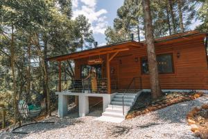 a cabin in the woods with a person standing in the doorway at Cabana Rústica em Gramado in Gramado