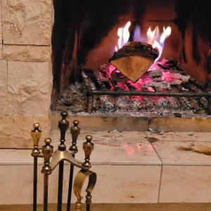 ショナッハにあるDeck-Apartment next to the forest, free parkingの暖炉の前にパンが置かれている +49枚の写真