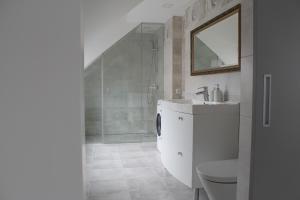 a bathroom with a sink and a toilet and a shower at Svečių namai Lanko g. in Klaipėda +18 photos