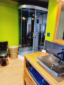 a bathroom with a shower with a sink and a counter at Maison avec jardin proche des bords de Loire in Les Ponts-de-Cé