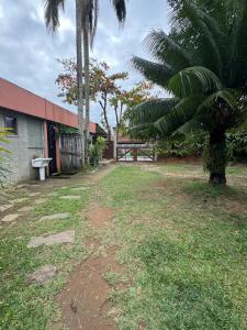 a yard with a building and a palm tree at Chalé - Praia in Ubatuba