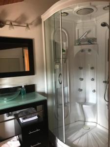 ein Badezimmer mit Dusche und Waschbecken in der Unterkunft Maison au pied du Beaujolais in Saint-Georges-de-Reneins
