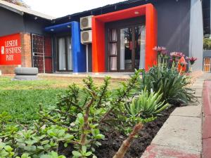 Κήπος έξω από το Stofberg Guest House
