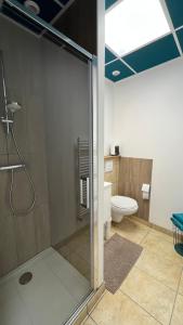 a bathroom with a shower and a toilet at Studio au bord de la Rivière in Florentin-la-Capelle