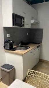 a small kitchen with a sink and a microwave at Studio au bord de la Rivière in Florentin-la-Capelle +8 photos