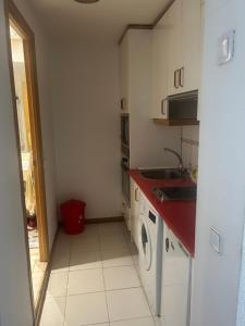 a kitchen with a sink and a washing machine at Madrid Retiro Room in Madrid