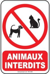 Galeriebild der Unterkunft Gîte Brin d'Olivier 2 chambres 3 lits in Bougneau