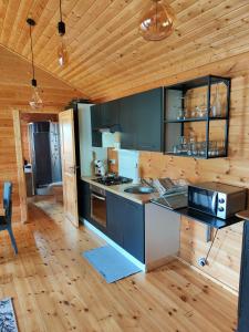 a kitchen with black and white appliances in a cabin at Le cottage des rives de l'Aa labélisé 3 étoiles in Bourbourg