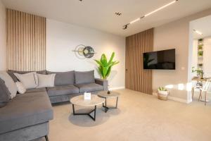 a living room with a gray couch and a tv at Thea Suites in Ouranoupoli