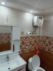 a bathroom with a white toilet and a sink at One bed apartment in Lahore in Lahore