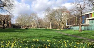 a field of daffodils in front of a building at 4-Bedroom Apartment – Sleeps 7 – Paddington – Quiet Area in London