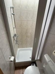 a small bathroom with a shower and a toilet at Spacious Apartment in Mörfelden-Walldorf in Mörfelden-Walldorf