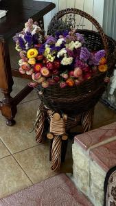 Gallery image of Casa Serban in Durau