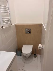 托伦Apartament Flora的带马桶和水槽的小浴室
