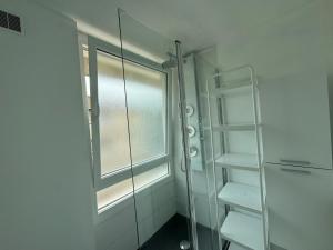 ducha con puerta de cristal y ventana en Appartement Hérouville, en Hérouville-Saint-Clair