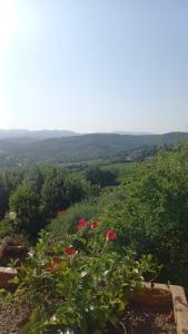 vistas a un jardín con flores rojas y arbustos en Podere Salceto, terrazza sul Chianti, en San Casciano in Val di Pesa