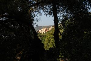 a view of a mountain through a group of trees at costa di sognu in Costa +71 photos