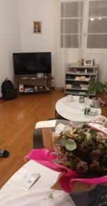 Un televizor și/sau centru de divertisment la Appartement climatisé avec jardin