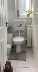 a small bathroom with a toilet and a window at Convenient Home-stay in London