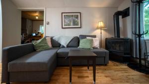 een woonkamer met een bank en een open haard bij 3-Bedroom Cottage #1 Hamilton in Sharbot Lake