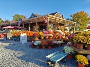 a display of flowers and plants in front of a store at Bayfront & nature preserve! in Riverhead