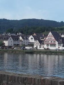 a town next to a body of water with houses at Ferienwohnung-Hallebach in Zell an der Mosel