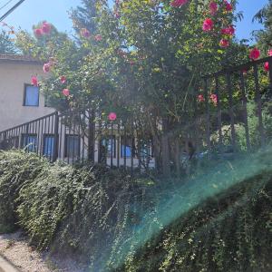 a fire hydrant spewing water into a garden at Elsas Residence in Sarajevo +33 photos