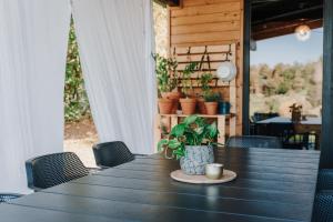 a table with a cup and a potted plant on it at Kuća za odmor Kiara in Karlovac