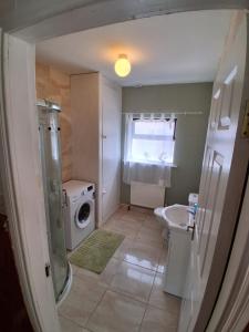 a small bathroom with a washing machine and a sink at Ciaran's cottage in Donore