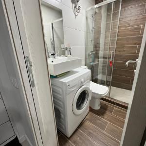 a bathroom with a washing machine and a sink at Apart Gloria in Bar