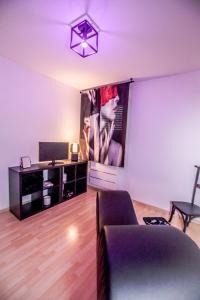 a living room with a couch and a tv on a wall at PRoJET KUROI - Love Room BDSM - Balançoire, Banc de fessée, Cage, Croix, Tantra in Walbourg