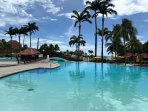 Una gran piscina con palmeras al fondo. en Appartement Ti-Paradis - RDC, en Sainte-Luce