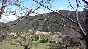 Blick auf einen Berg mit Bäumen und Häusern in der Unterkunft L'Envolée in Belvianes-et-Cavirac