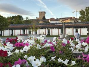 ein Blumenfeld vor einem Gebäude in der Unterkunft Bem estar 2 in Chaves
