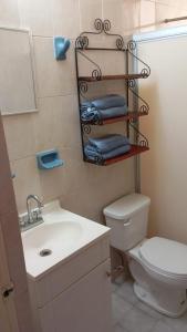 a bathroom with a sink and a toilet and towels at Depa Andali green in Aguascalientes