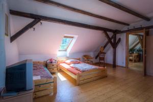 1 dormitorio con 2 camas y TV. en Penzion U Dračice, en Nová Bystřice