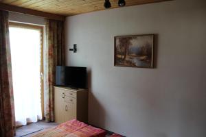 TV a/nebo společenská místnost v ubytování Haus Birgit