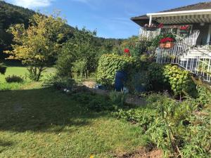 a garden in front of a house at 64747 Breuberg Odenwald 2 Schlafzimmer in Breuberg
