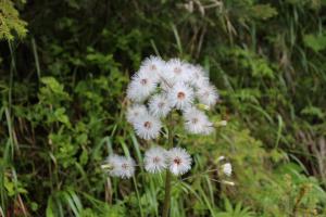 Fotografie z fotogalerie ubytování Haus Birgit v destinaci Pettneu am Arlberg