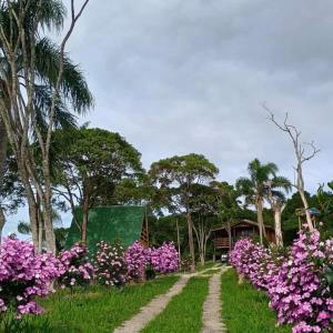 a garden with pink flowers and palm trees at Recanto do Divino in Palhoça