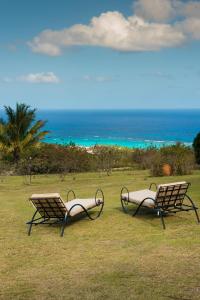 dos sillas en un campo con el océano en el fondo en Kristal'Inn Cottage Caraibe, en Capesterre