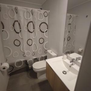 a bathroom with a toilet and a sink and a mirror at Vanguardia 924 in Temuco