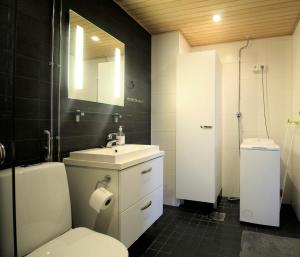 a bathroom with a toilet and a sink and a mirror at Central Studio for 2 with Sauna in Lahti